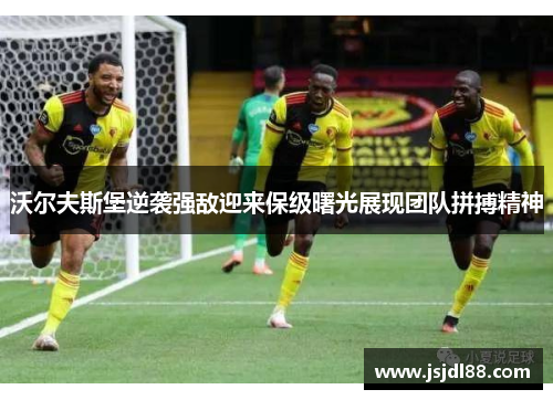 沃尔夫斯堡逆袭强敌迎来保级曙光展现团队拼搏精神